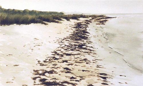 1987 Beach